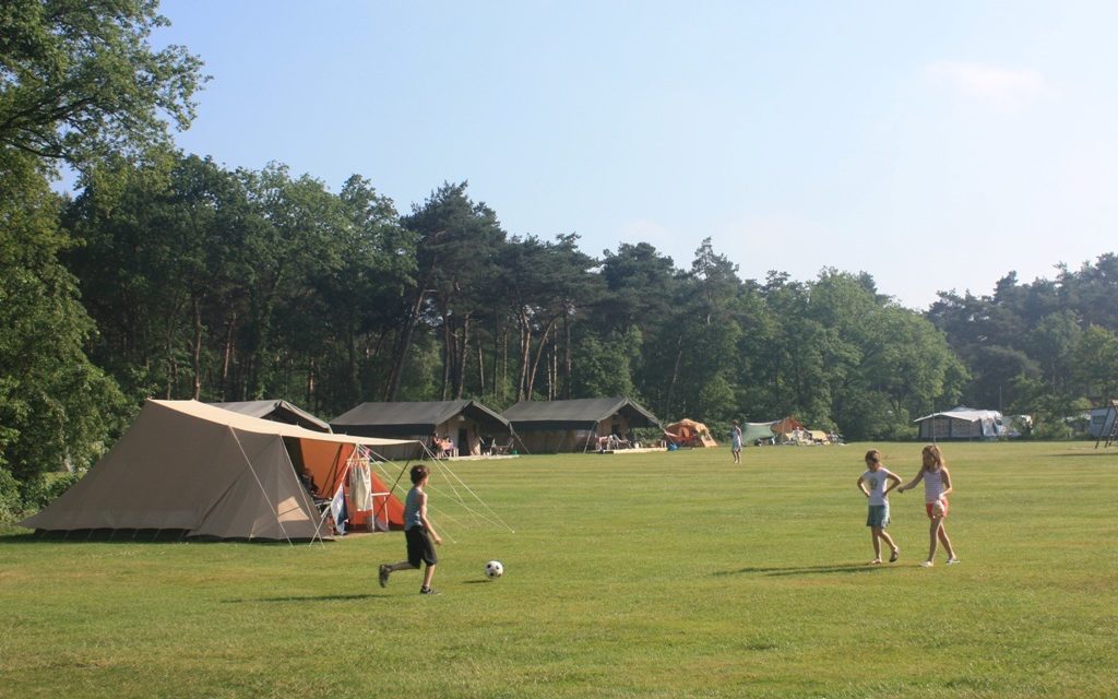 Natuurcamping de Lemeler Esch | Stijlvol kamperen in Overijssel