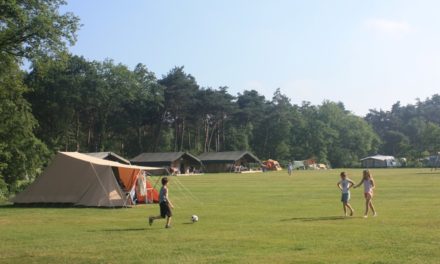 Natuurcamping de Lemeler Esch | Stijlvol kamperen in Overijssel
